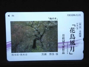 テレカ 50度 梅の木 花鳥風月 月桂冠大賞作品 未使用 S-0231