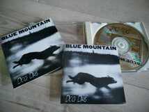 Blue Mountain アルバム　Dog Days　ロック　ブルーマウンテン_画像2