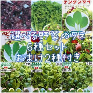 選べる野菜のタネ 6種セット おまけ2種付き