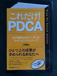 これだけPDCA