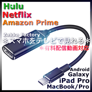 差込型 TypeC HDMI変換ケーブル HDMIケーブル ＊ iPadPro iPhone15 MacBook ギャラクシー エクスぺリア スマホ プロジェクター テレビ接続