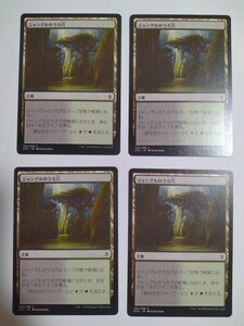 MTG マジックザギャザリング ジャングルのうろ穴 日本語版 4枚セット