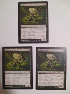 MTG マジックザギャザリング 死胞子のサリッド 日本語版 3枚セット