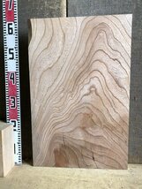 【EA251A】欅 597×388×45㎜ 玉杢 極上杢 一枚板 材料 天然木 無垢材 乾燥材 銘木 材木 木工 DIY 希少材《銘木登屋》_画像8