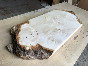 【EI632G】栃 750×287×45㎜ 極上杢 一枚板 材料 天然木 無垢材 乾燥材 銘木 材木 木工 DIY《銘木登屋》