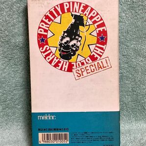 THE BLUE HEARTS/TOUR'88 PRETTY PINEAPPLE SPECIAL