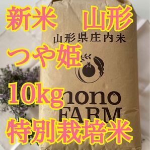 つや姫　山形　10kg 特別栽培米　令和5年