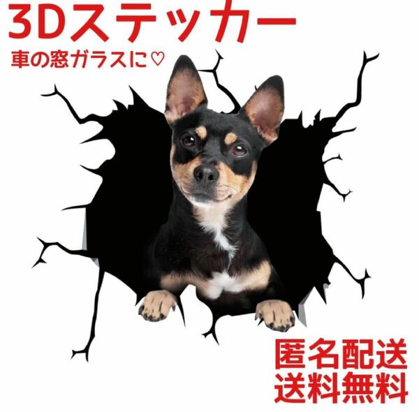 ステッカー　車　３Ｄプリント　面白い ピンシャー　ペット　カー用品　飾り　犬　ペット