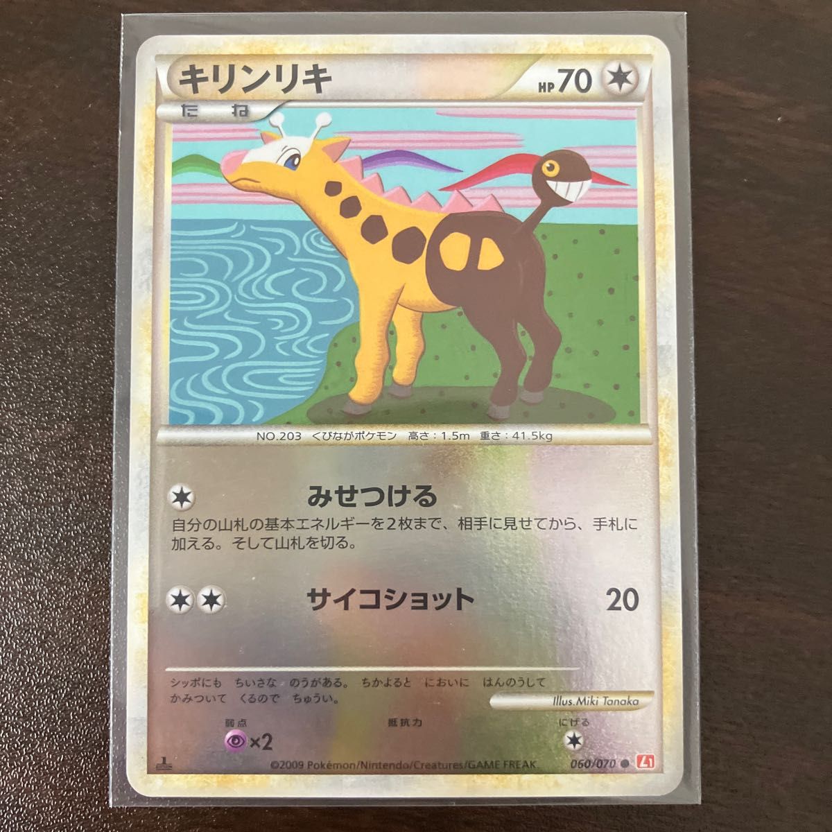ポケットモンスター ハートゴールドの新品・未使用品・中古品(3ページ