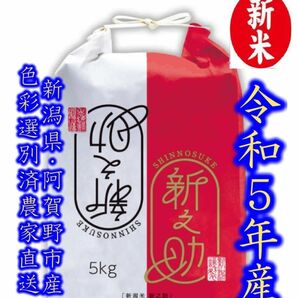 新米　令和5年産　新潟　新之助　白米5kg×1個★農家直送★色彩選別済22