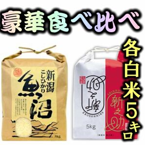 食べ比べ　「極み」令和5年産新潟新之助　魚沼産コシヒカリ　白米5kg各1個10キロ食べ比べセット　★農家直送★色彩選別済08