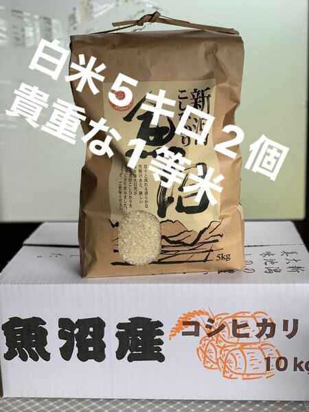 貴重な、1等　新米魚沼産コシヒカリ　白米5kg×2個★津南町産コシヒカリ10