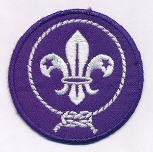 特価SALE！最後！ボーイスカウト世界連盟・World Scouts Emblem Fun Badge 7cms 少量在庫限り(再入手困難品)