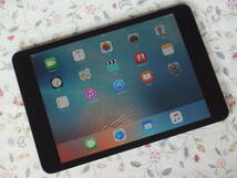 ☆彡 美品　Apple iPad mini A1455 16GB Wi-Fi + Cellular ブラック＆スレート_画像1