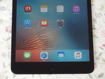 ☆彡 美品　Apple iPad mini A1455 16GB Wi-Fi + Cellular ブラック＆スレート_画像4