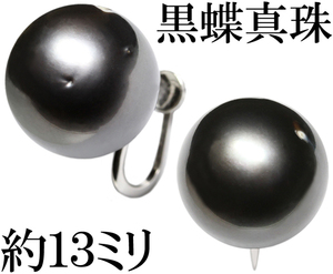 上品☆南洋 黒蝶真珠 パール 13mm 13ミリ イヤリング Pt900 プラチナ フォーマル♪鑑別付