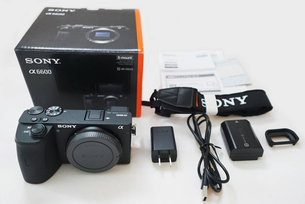 2023年最新】ヤフオク! -sony α6600の中古品・新品・未使用品一覧