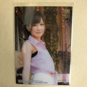 NMB48 谷川愛梨 2014 トレカ アイドル グラビア カード クリアカード R011 タレント トレーディングカード AKBG