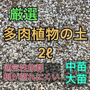 厳選　多肉植物の土　2リットル