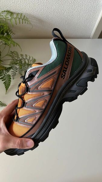 Salomon xt-6 expanse 75th記念モデル