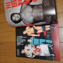 日本プロレス事件史Vol.27 反逆・決起の時/ブルーザー・ブロディ/長州力/川田利明/ヒロ・マツダ/UWF/レイ・スチーブンス/ボブ・ループ_画像5