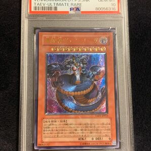 遊戯王 毒蛇神ヴェノミナーガ レリーフ PSA10