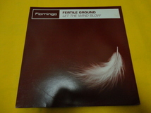 Fertile Ground Let The Wind Blow オリジナル原盤 12 メロディアス Ian Pooley おしゃれ VOCAL HOUSE 12 視聴_画像1