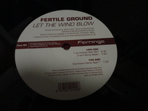 Fertile Ground Let The Wind Blow オリジナル原盤 12 メロディアス Ian Pooley おしゃれ VOCAL HOUSE 12 視聴_画像3