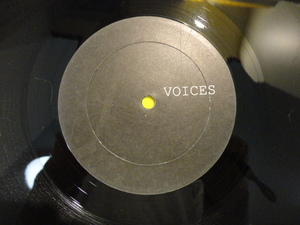 Voices - Can You See The Light? ヒットチューン 90s VOCAL HOUSE CLASSIC 圧巻ゴスペル　視聴