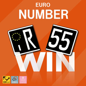 BLACK&SILVER euro number plate stick type [ rom and rear (before and after) 2 set ] silver black 