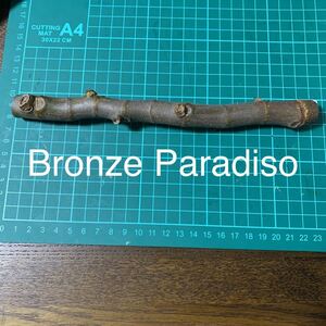 Bronze Paradiso穂木　イチジク穂木　いちじく穂木