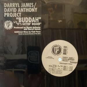 Darryl James / David Anthony Project Buddah / It's Gettin' Bigger 未開封シールド