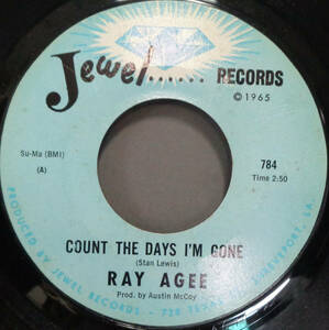 【SOUL 45】RAY AGEE - COUNT THE DAYS I'M GONE / HARD WORKING MAN (s231023043)