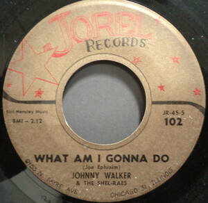 【SOUL 45】JOHNNY WALKER - GIVE IT BACK TO ME / WHAT AM I GONNA DO (s231016002)