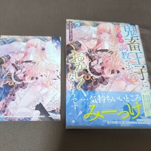 鬼畜王子に無理やり調教されておかしく　２ （ＺＥＲＯ－ＳＵＭコミックス） アンソロジー　　特典付