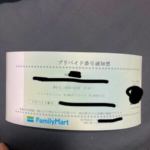 未使用　8000円分ビットキャッシュ