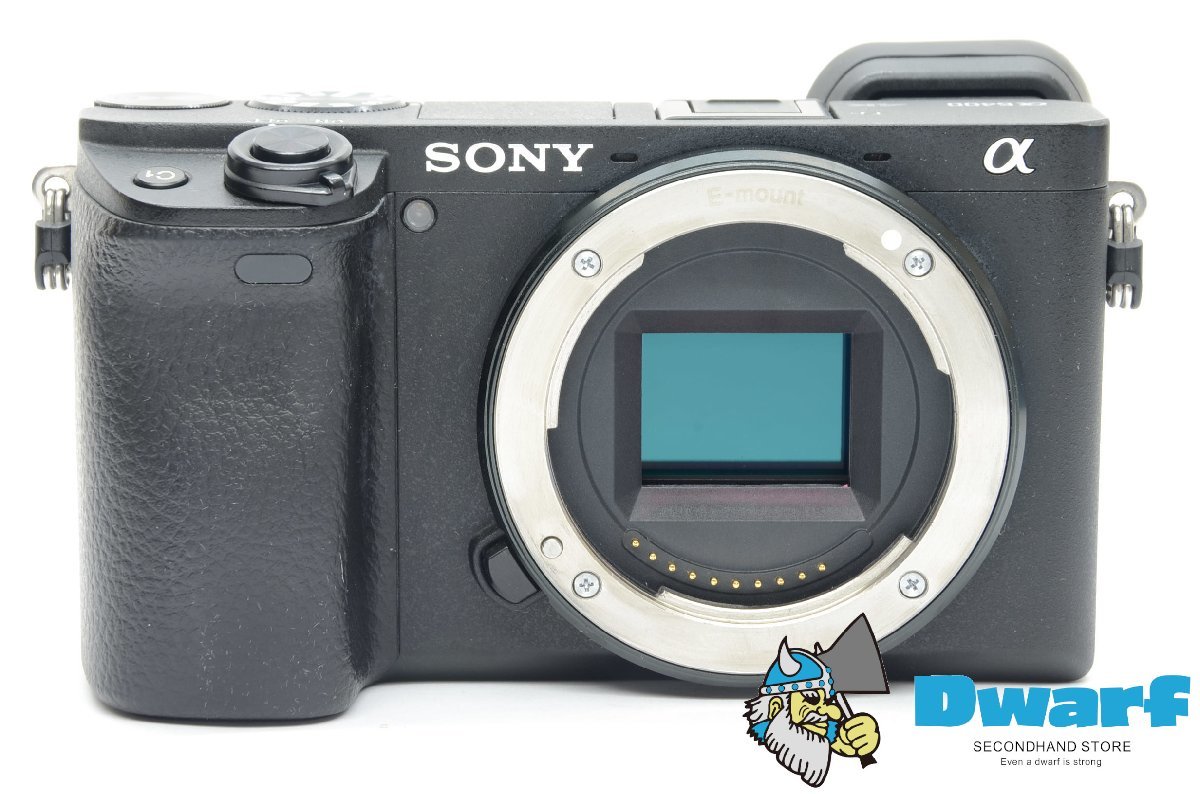 2023年最新】ヤフオク! -α6400 ボディの中古品・新品・未使用品一覧