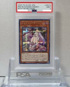 遊戯王 PSA9 完美品 シークレット カクリヨノチザクラ 鑑定品 シク RC03