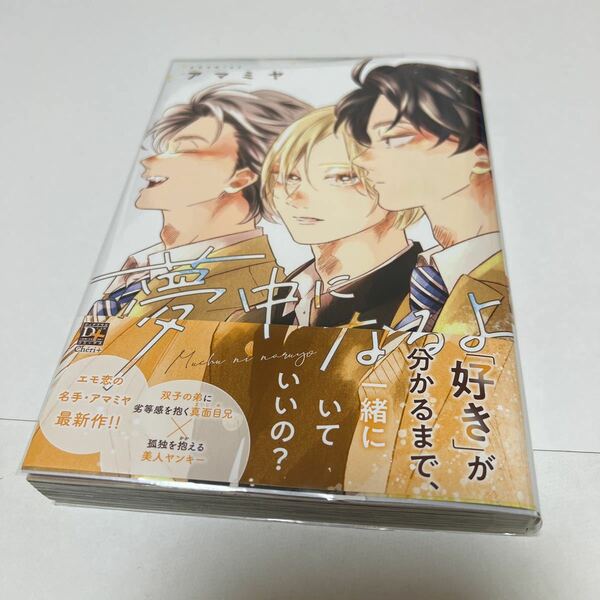 ＢＬ　３８８１　夢中になるよ…アマミヤ