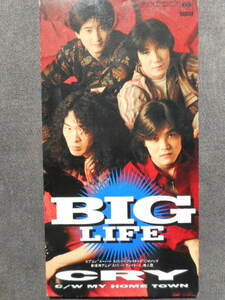 C374 【8cm CDS】 BIG LIFE／CRY クライ／ストリートファイターII