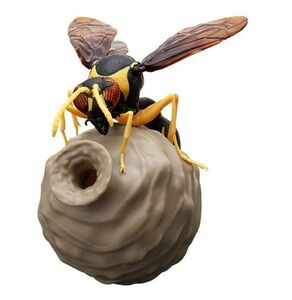 【即決】　ミカドトックリバチ バチいきもの大図鑑　とっくりばち　バンダイ ハチ　虫