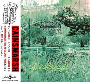 ＊新品特価CD RIGOROUS INSTITUTION/CAINSMARSH 2022年作品1st U.S HARDCORE PUNK DESKONOCIDOS PIG DNA TRAGEDY WORLD BURNS TO DEATH