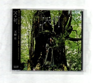 天野月子 天野月 天の樹 CD ))yga37-248