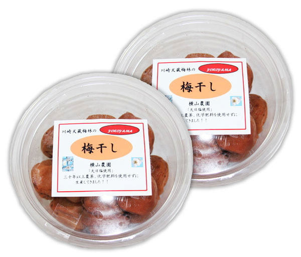 【値引き中】自然栽培 梅干し(500g(250gＸ２個))★神奈川県犬伏梅林★無肥料・無農薬★無添加・無着色★一粒一粒手もぎして漬け込みました