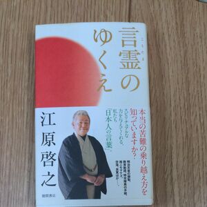 言霊のゆくえ 江原啓之／著