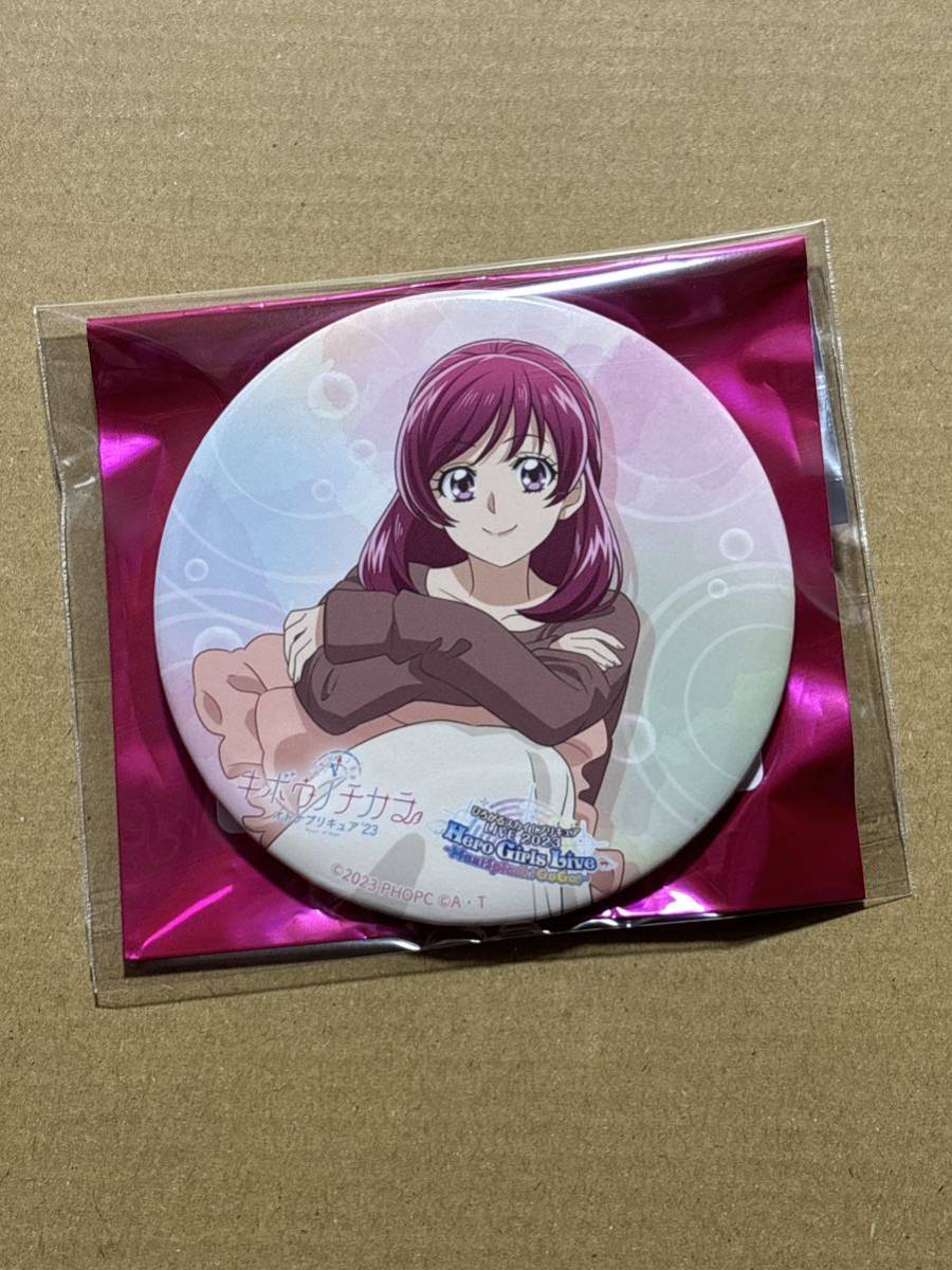 2023年最新】Yahoo!オークション -プリキュア 缶バッジ(作品別)の中古