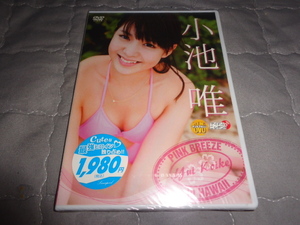 #新品DVD 小池唯 「PINK BREEZE in HAWAII」 [DVD] d033