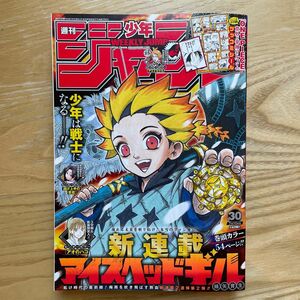 週間少年ジャンプ　2023年　30号　アイスヘッドギル