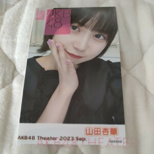 山田杏華　輪投げ　b