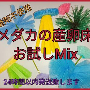 メダカの産卵床 お試しMix